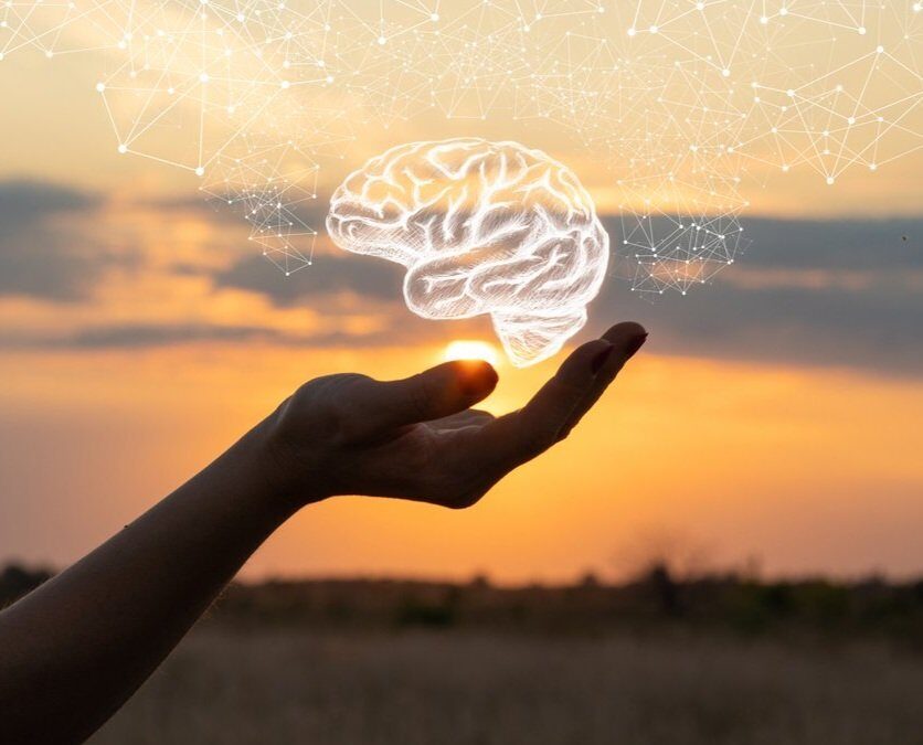 How to Nourish Your Brain